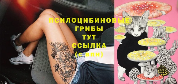 сатива Володарск