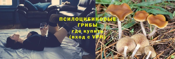 сатива Волосово
